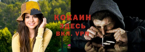 гашик Няндома