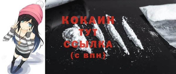 гашик Няндома