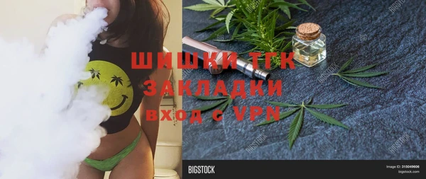 гашик Няндома