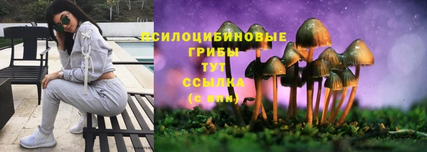 гашик Баксан