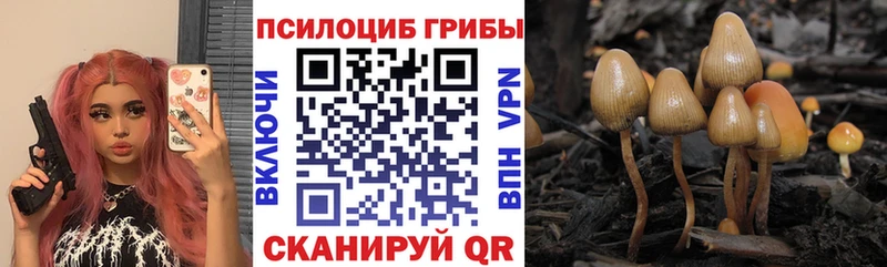 Галлюциногенные грибы Magic Shrooms  блэк спрут вход  Болхов 