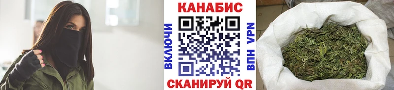 darknet телеграм  закладки  Болхов  Бошки Шишки семена 